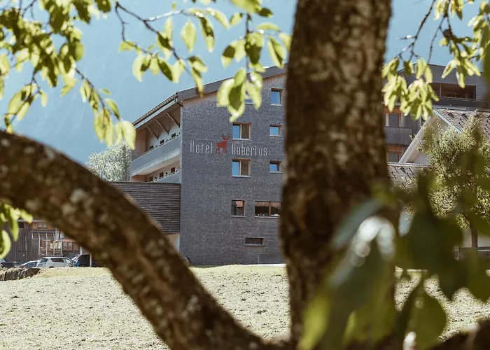 Aparthotel Hubertus Mellau photo