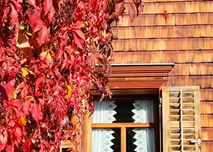 Фото Ferienwohnung Ritter Шварценберг-им-Брегенцервальд