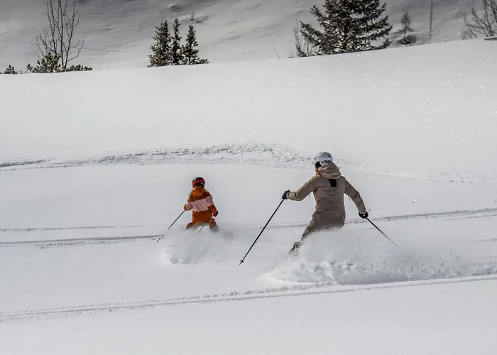 Alpenlodge FUCHSBAU Bürserberg foto